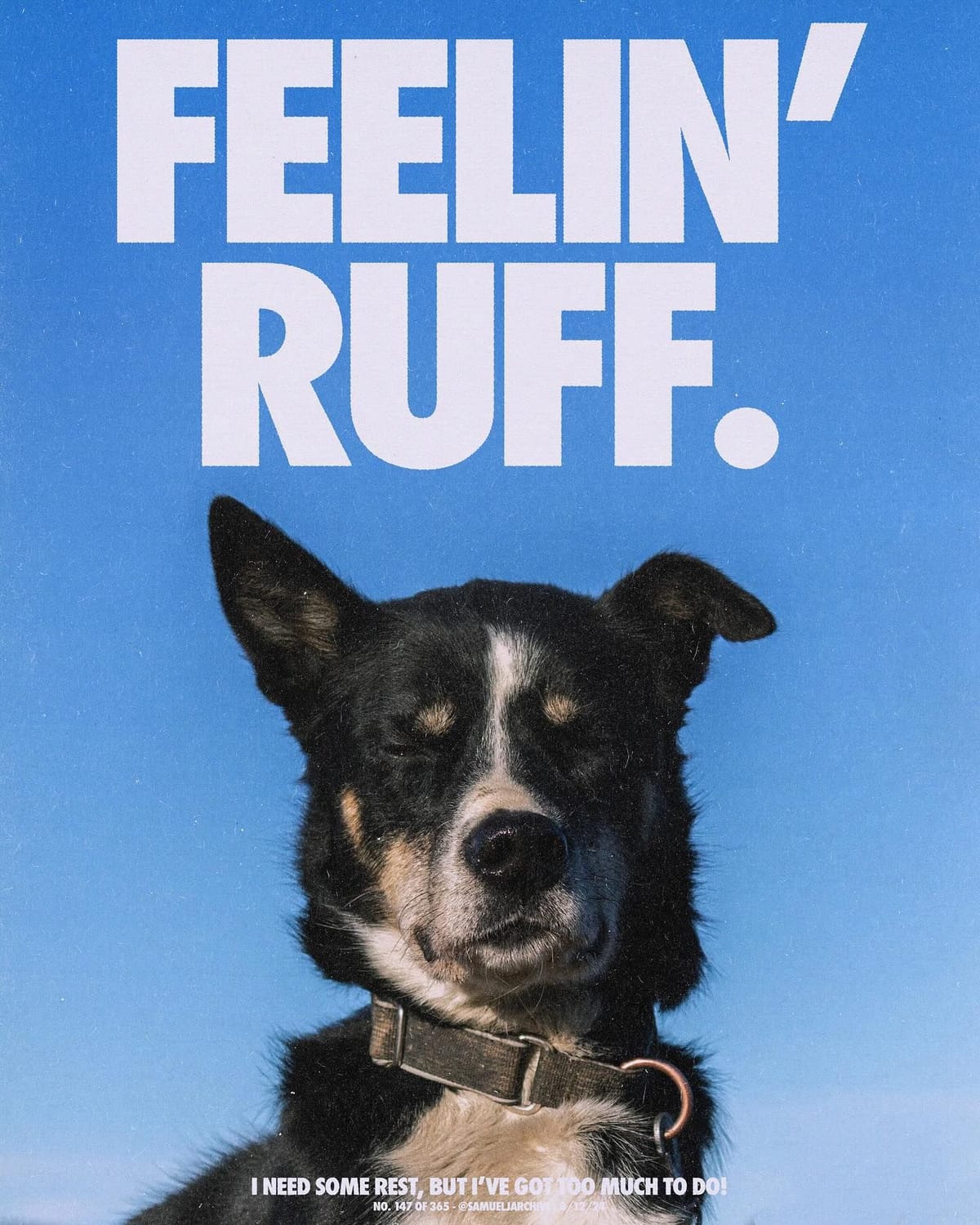 Doga poster