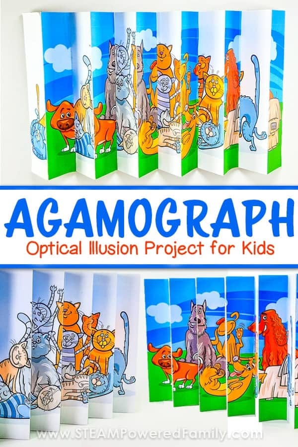 Agamograph Optical Illusion Project