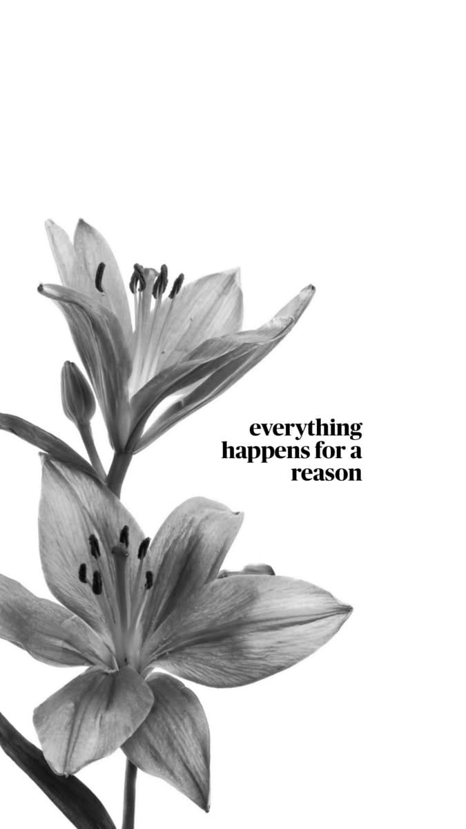 Everything happens for a reason poster
